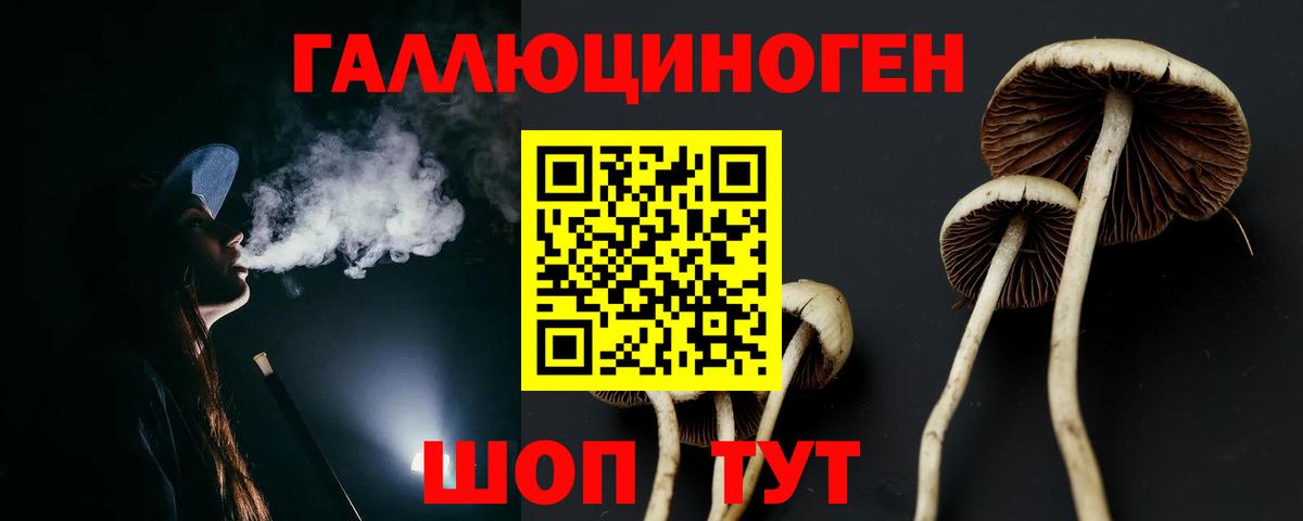 Юрга  Галлюциногенные грибы Psilocybe  Вход с VPN 